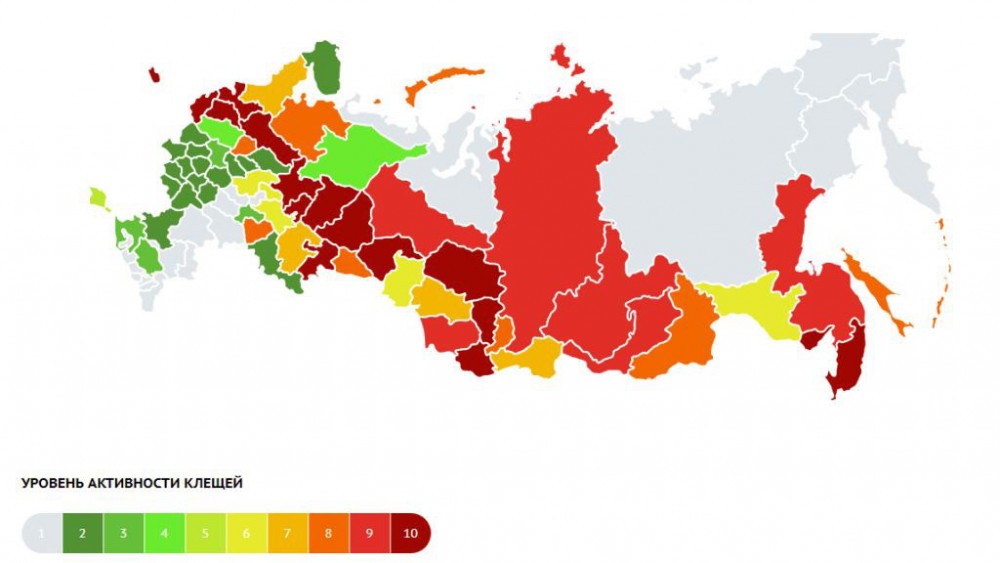 Карта России - активность клещей активность клещей