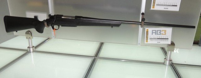 Винтовка AB3