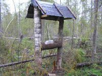солонец для лося