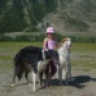 Image description
