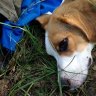 Image description