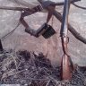 Image description